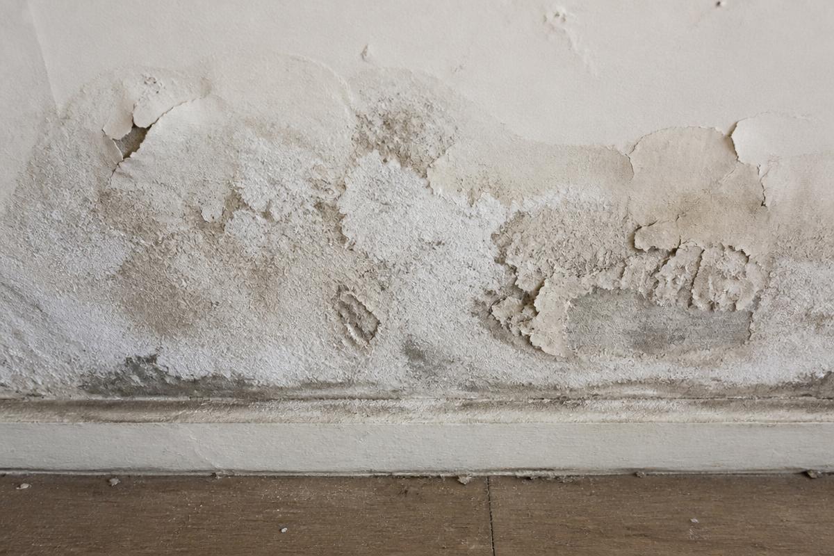 Detail van vochtplekken en zoutuitslag onderaan een gepleisterde binnenmuur