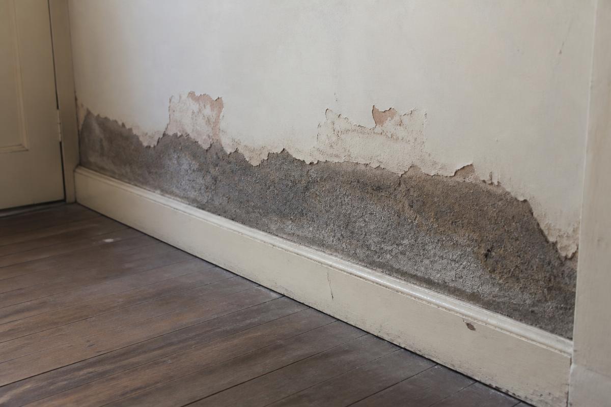 Donkere vochtrand met loskomende verf onderaan een binnenmuur boven de plint